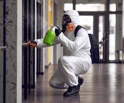 Mold Removal